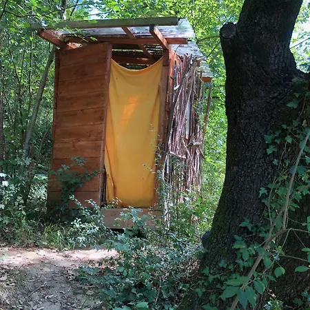 Yourte Dans La Foret